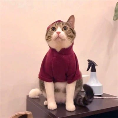 Công Phượng avatar
