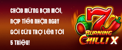 Ưu Đãi Nạp Thẻ Cào